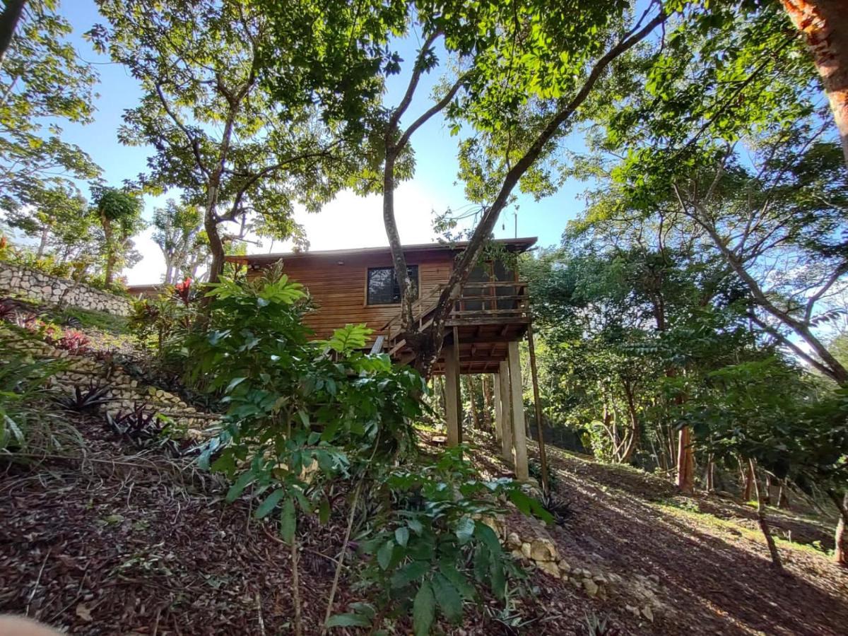 Santa Cruz Cabins Santa Elena Dış mekan fotoğraf